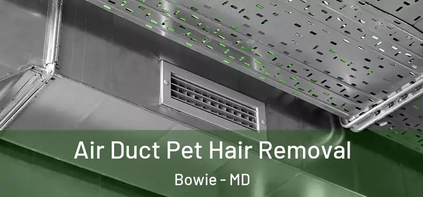 Air Duct Pet Hair Removal Bowie - MD