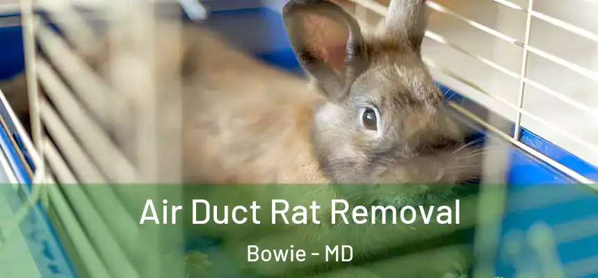  Air Duct Rat Removal Bowie - MD