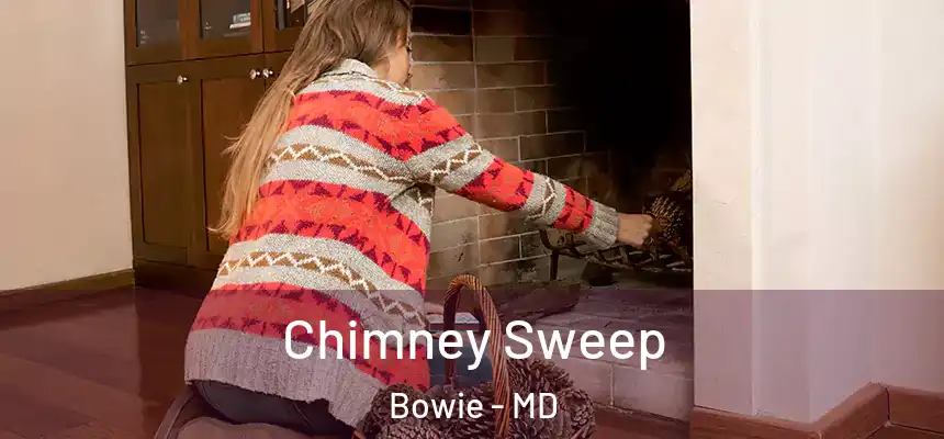  Chimney Sweep Bowie - MD