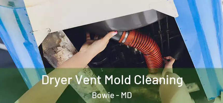 Dryer Vent Mold Cleaning Bowie - MD