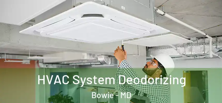 HVAC System Deodorizing Bowie - MD