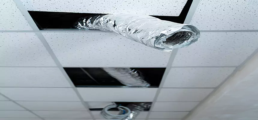 Affordable HVAC Sanitizing After Pest Removal in Bowie