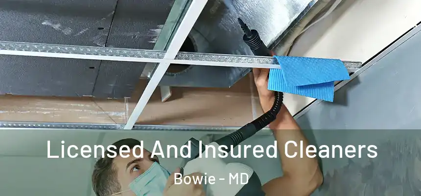  Licensed And Insured Cleaners Bowie - MD