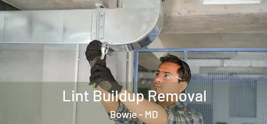 Lint Buildup Removal Bowie - MD