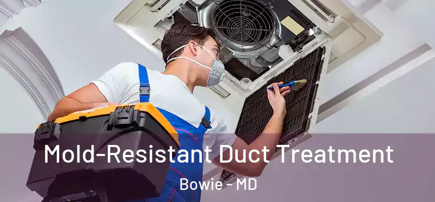  Mold-Resistant Duct Treatment Bowie - MD