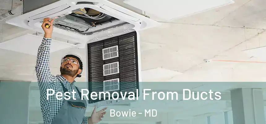  Pest Removal From Ducts Bowie - MD
