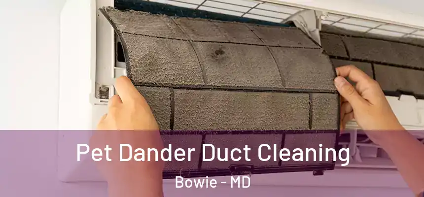 Pet Dander Duct Cleaning Bowie - MD
