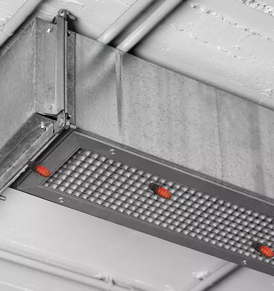 About Air Duct Cockroach Removal in Bowie, MD