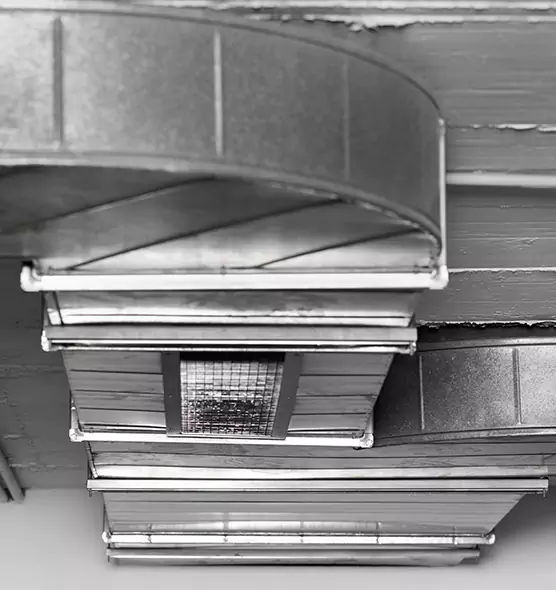 Professional Air Duct Pet Hair Removal in Bowie, MD