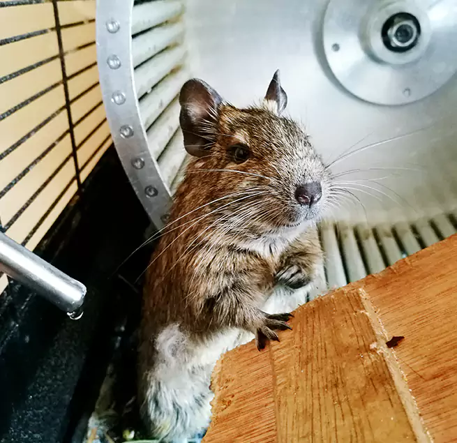 Why Homeowners & Businesses Trust Us Bowie, MD?