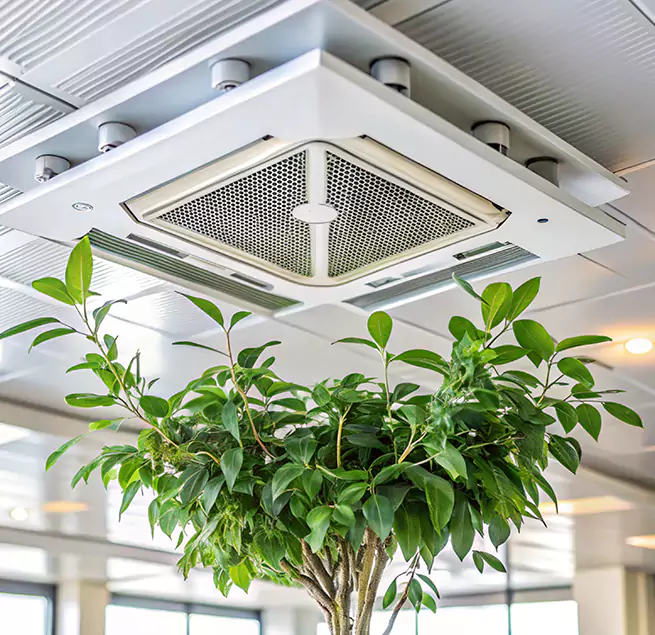 Why Homeowners & Businesses Trust Us in Bowie, MD?