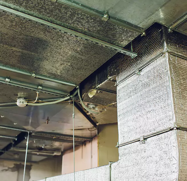 Why Homeowners & Businesses Trust Us in Bowie, MD?